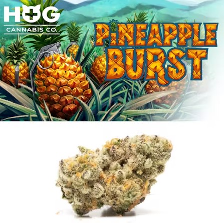 Photograph of product: HOG Oui'd Pineapple Burst 3.5g