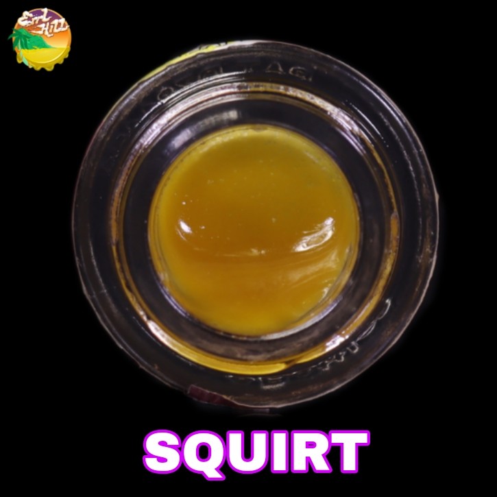 Photograph of product: SQUIRT - 1G