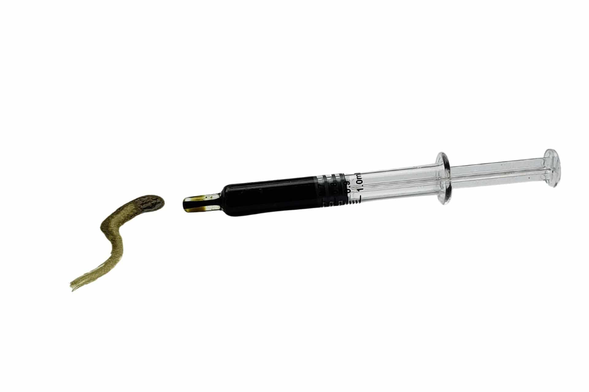 Photograph of product: RSO - 2.5g Gorge Grown - Duct Tape x Dessert Runtz