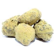 Photograph of product: Midsouth | White Zookies | Moon Rock