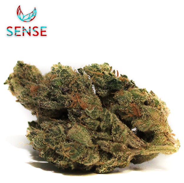 Photograph of product: Sense - Island Sweet Skunk - 3.5g - 3.5g