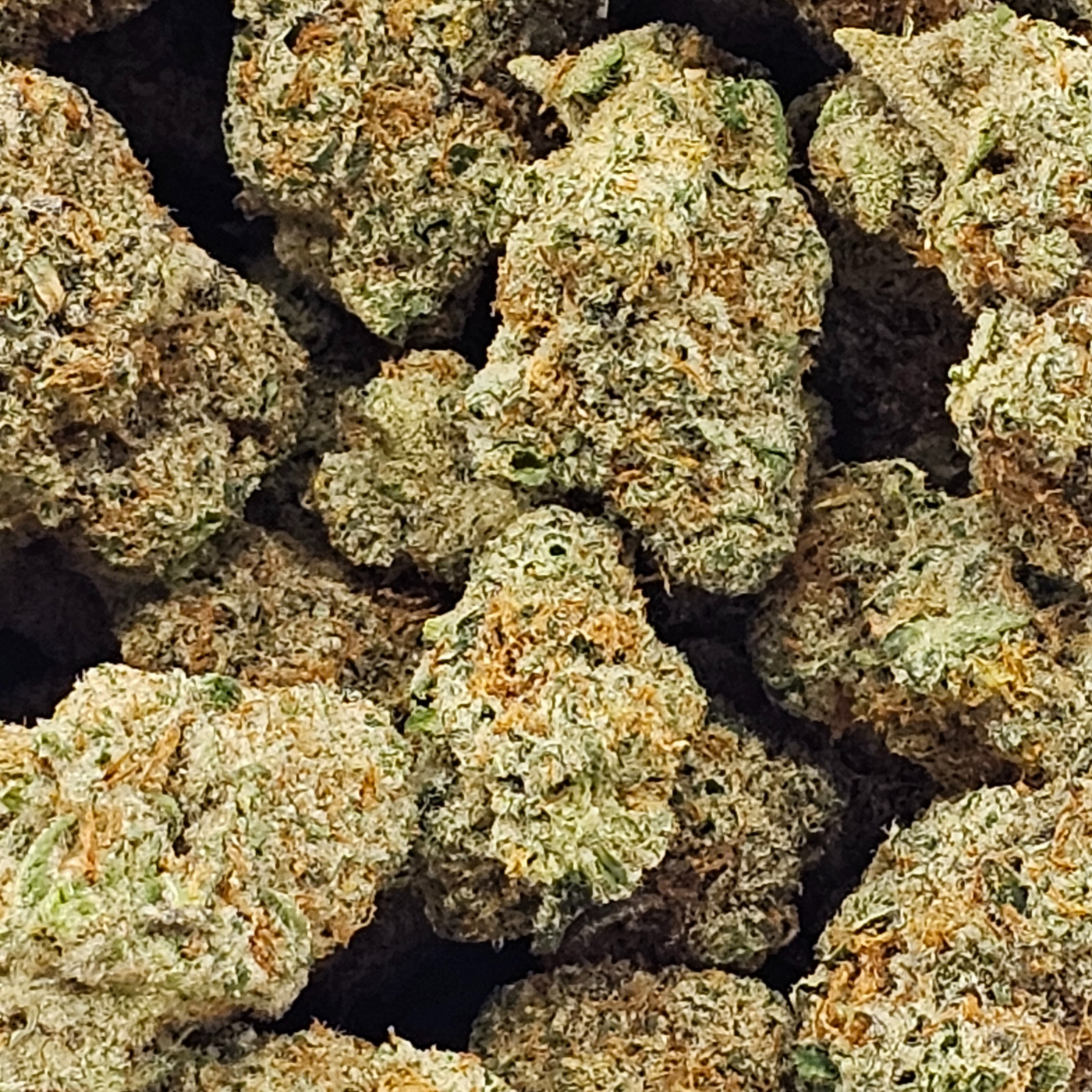 Photograph of product: Gas Tier Deli - Sweet Dreams - 1g