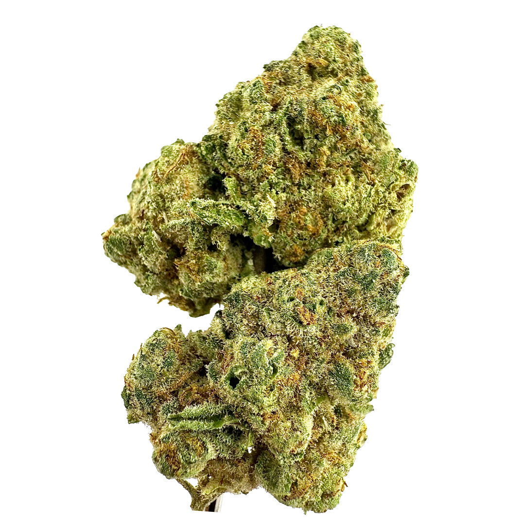 Photograph of product: GOLD STANDARD - HEIR HEADS 14G