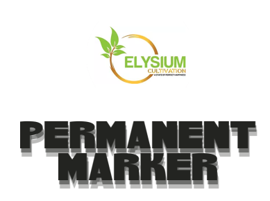Photograph of product: Elysium   Permanent Marker - 1g