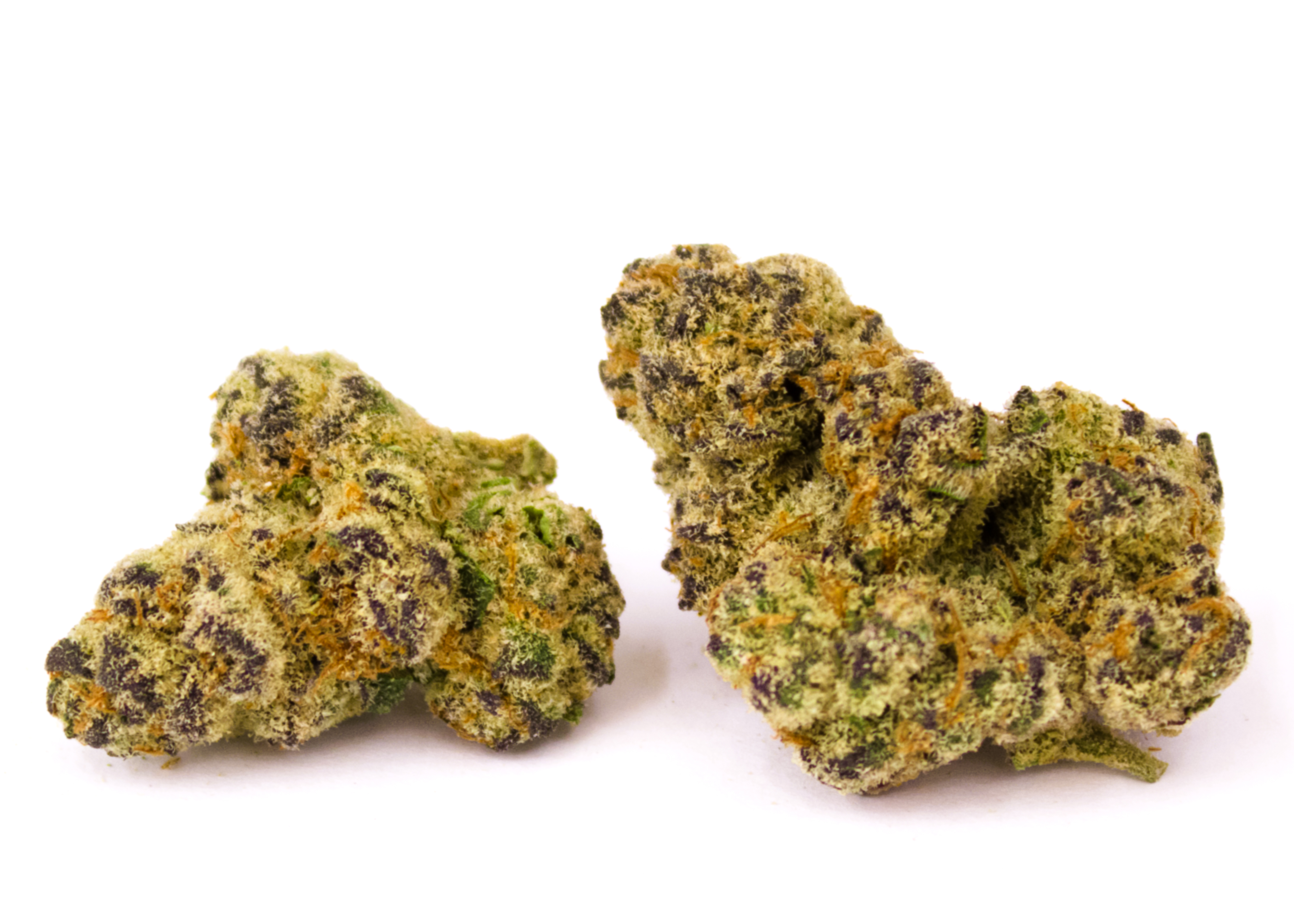 Photograph of product: Glitter Bomb |  | Fresh Packed - 28g