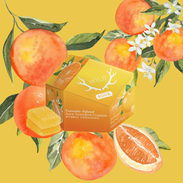 Photograph of product: GUMMIES | SOUR TANGERINE