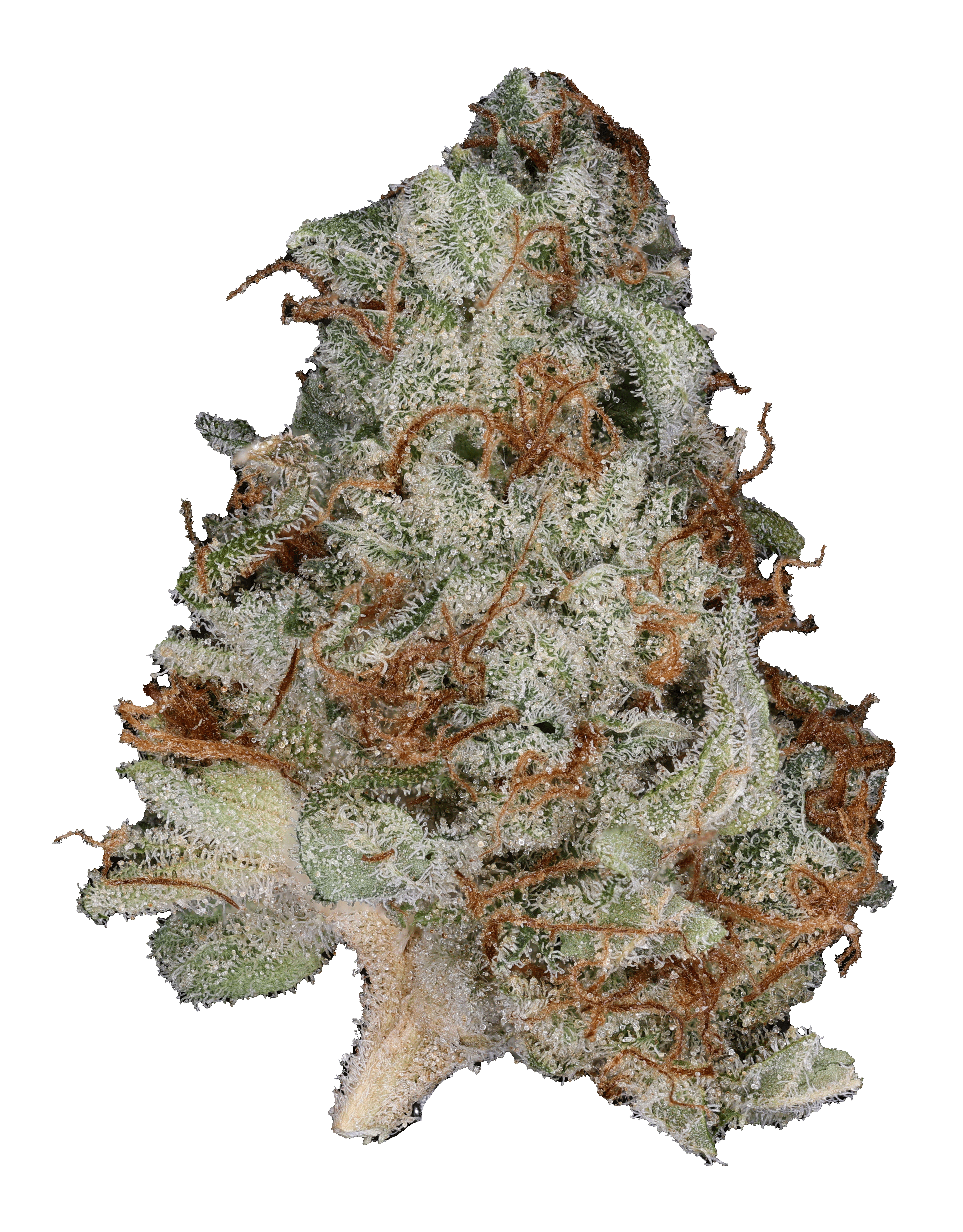 Photograph of product: Crystal Cowgirl - 3.5g