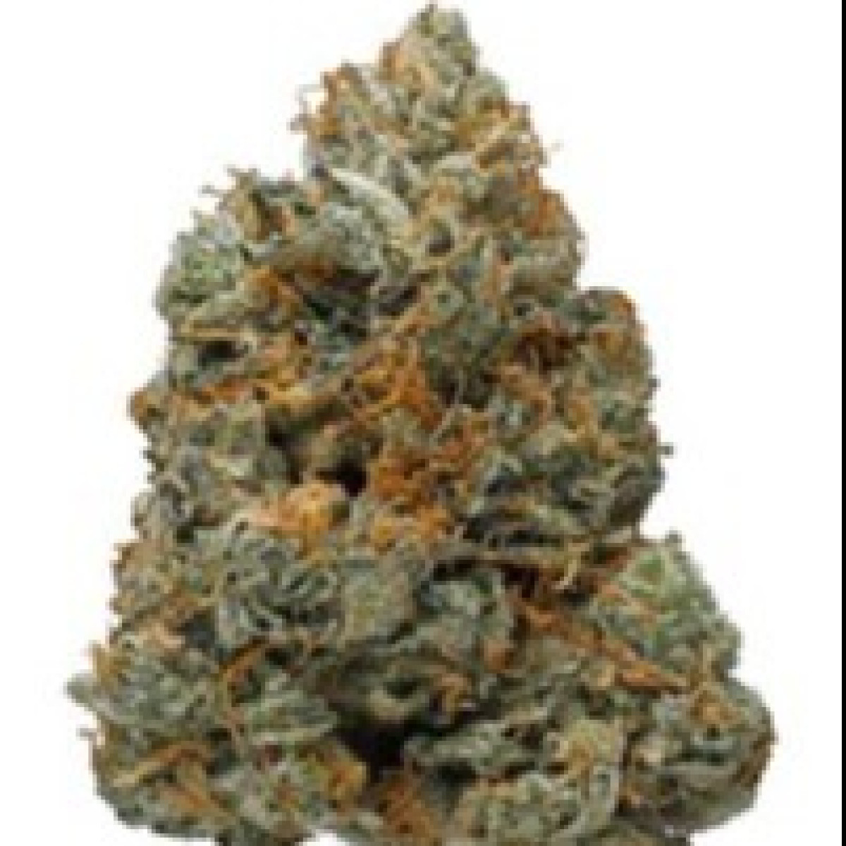 Photograph of product: Green Mountain Oui'd | Donutz | Bulk Flower - 28g
