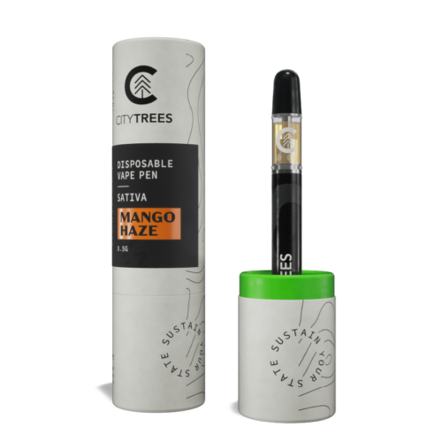 Photograph of product: City Trees | Mango Haze Disposable 0.5g