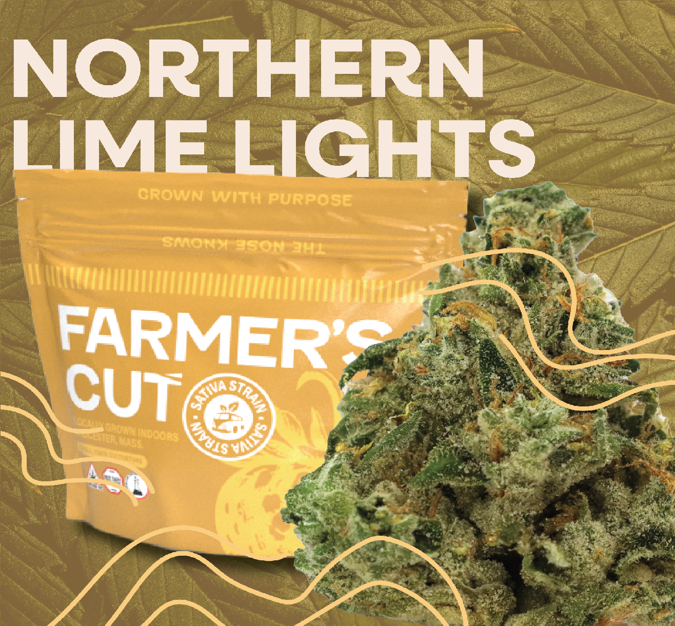 Photograph of product: Farmer's Cut - Northern Lime Lights - Oui'd - 3.5g