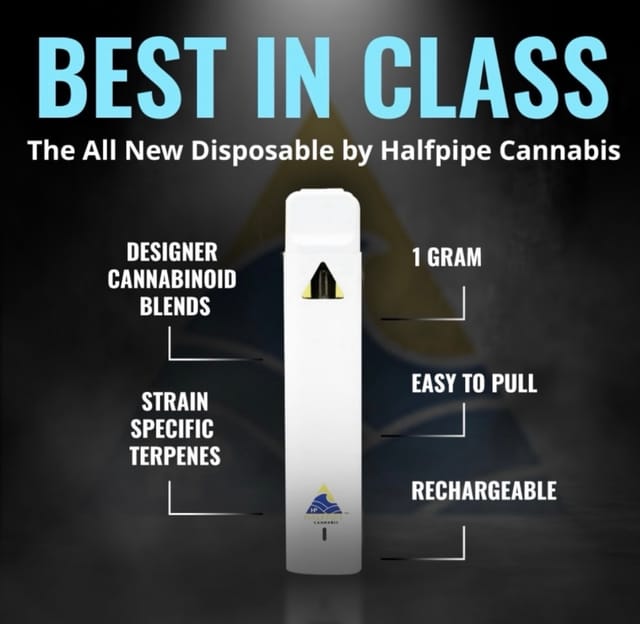 Photograph of product: Watermelon ice 1G disposable - 