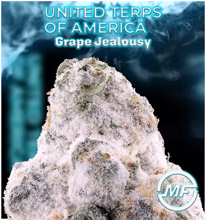 Photograph of product: Grape Jealousy TH-ouiA Infused Snowballs Bulk