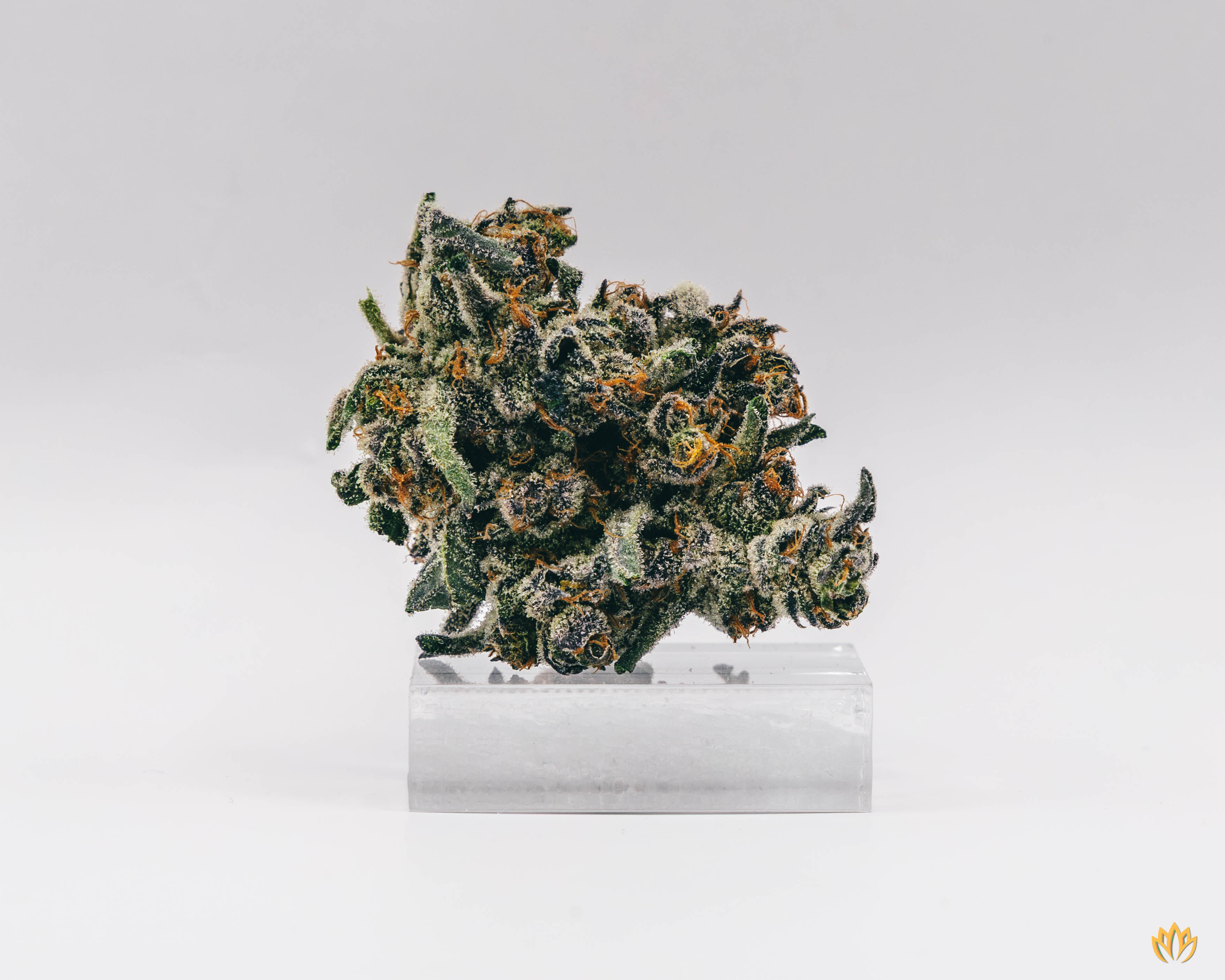 Photograph of product: Apple Fritter - 1g