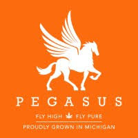 Photograph of product: Pegasus Green - Bulk Flower - Cactus Breath - 28g