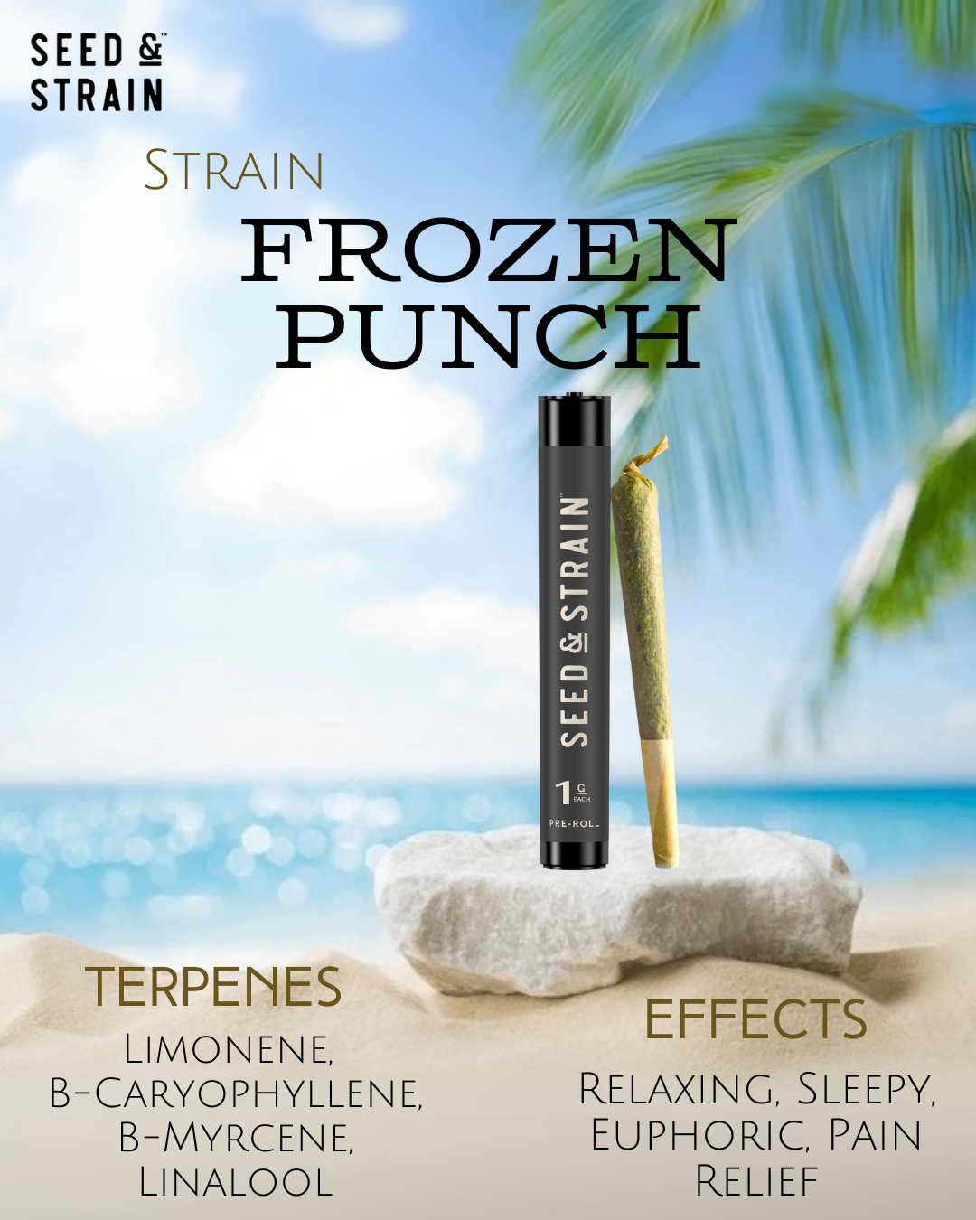 Photograph of product: Seed and Strain  Prerolls /1pk - Frozen PNCH