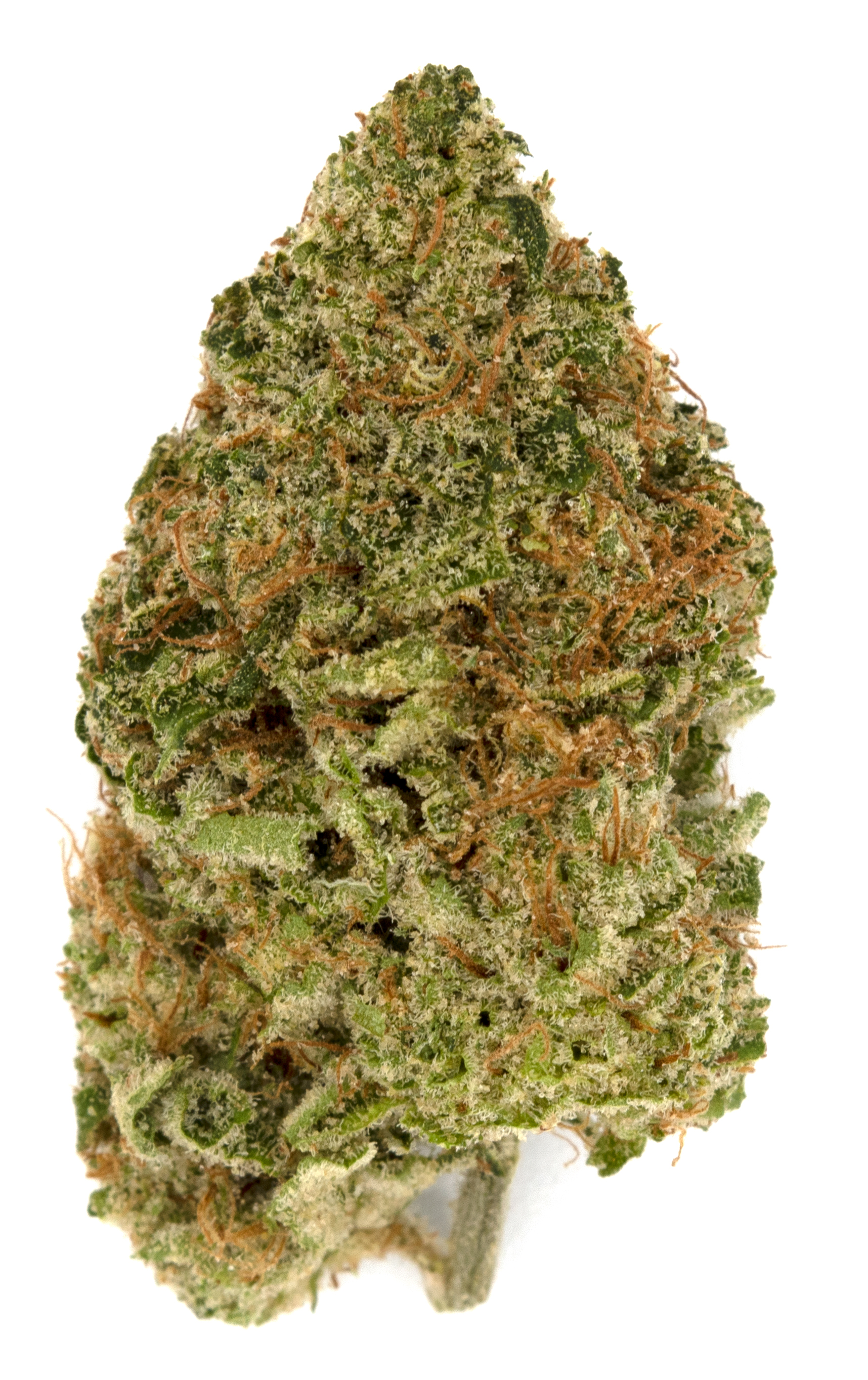 Photograph of product: Death Star | Dutch Touch Genetics - 28g