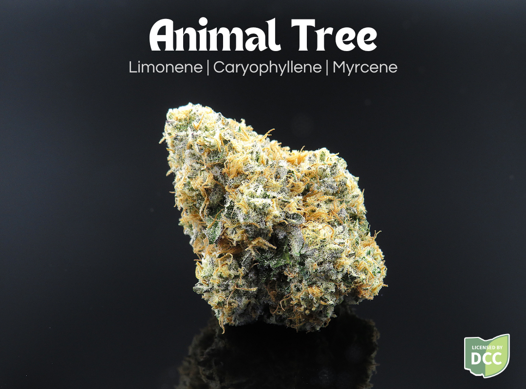 Photograph of product: Animal Tree - 2.83g