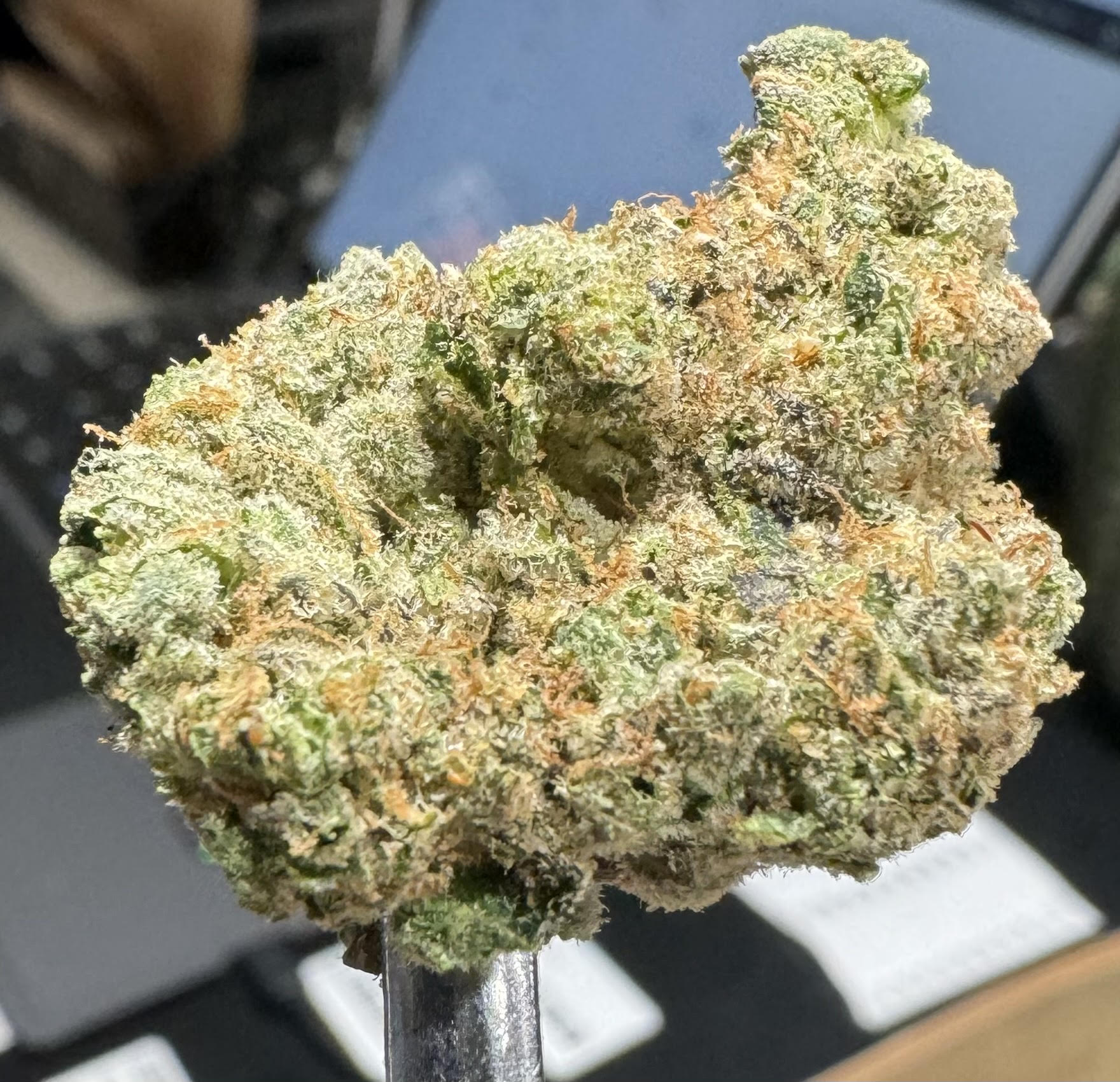 Photograph of product: Punch Cake - 3.5g