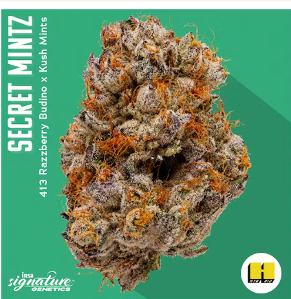 Photograph of product: Secret Mints - 1g Pre-Roll - INSA