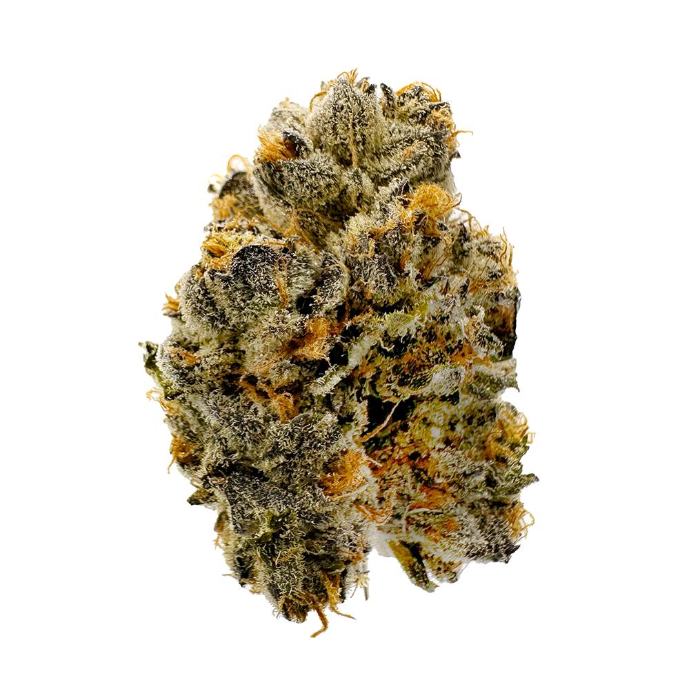 Photograph of product: Buoyant Bob | Garlic Butter 3.5g