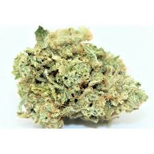 Photograph of Product: HIT IT - - GORILLA GLUE - 5g