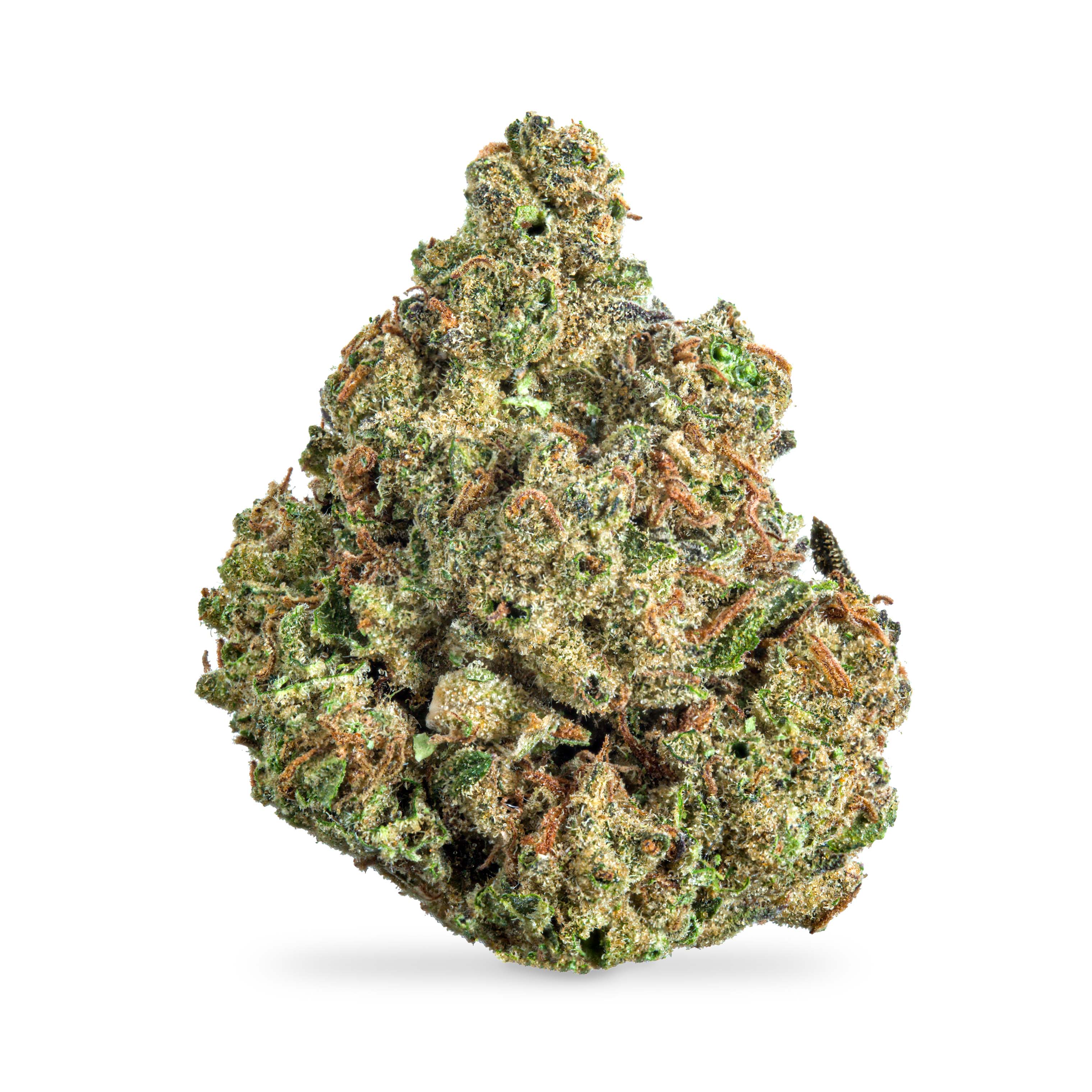 Photograph of product: Blueberry Pound Cake ($60 Special, No Discounts) - 28g