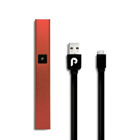Photograph of product: PLUGPLAY | Red Steel Battery