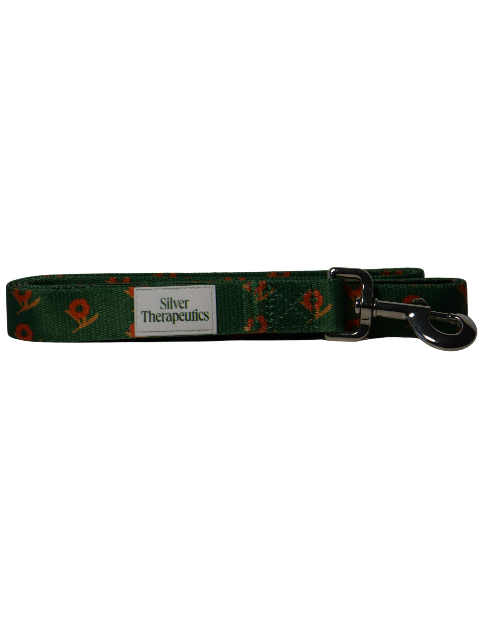Photograph of product: Branded Nylon Leash | 6ft Leash - 