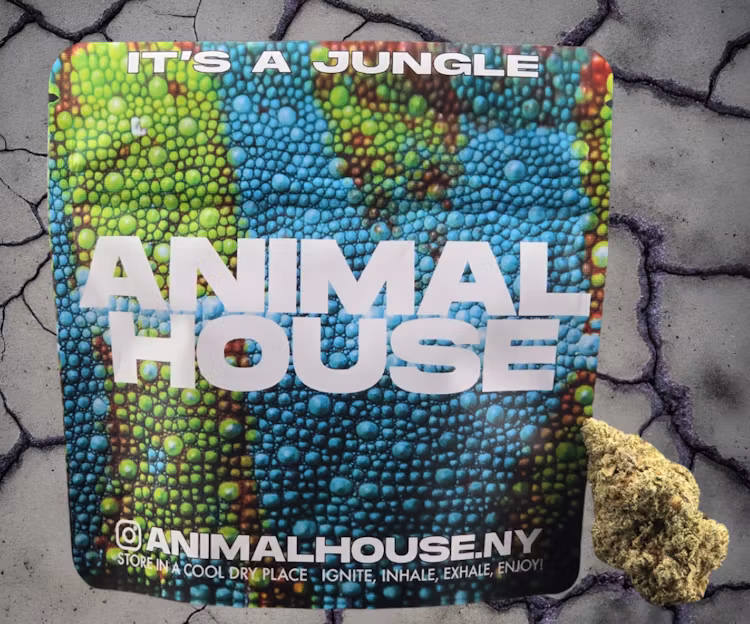 Photograph of product: Animal House Flower - Hella Jelly - 3.5g