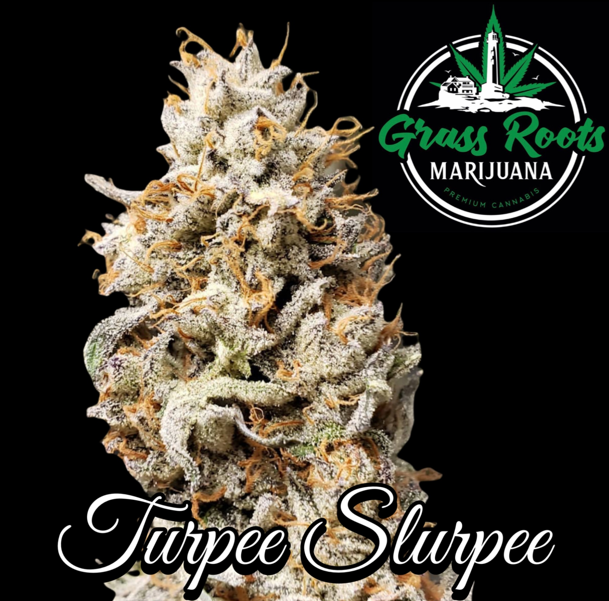 Photograph of product: GRM | Turpee Slurpee | 3.5g