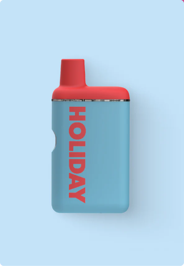 Photograph of product: Holiday | Staycation | Disposable Vape