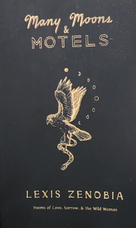 Photograph of product: Many Moons & Motels