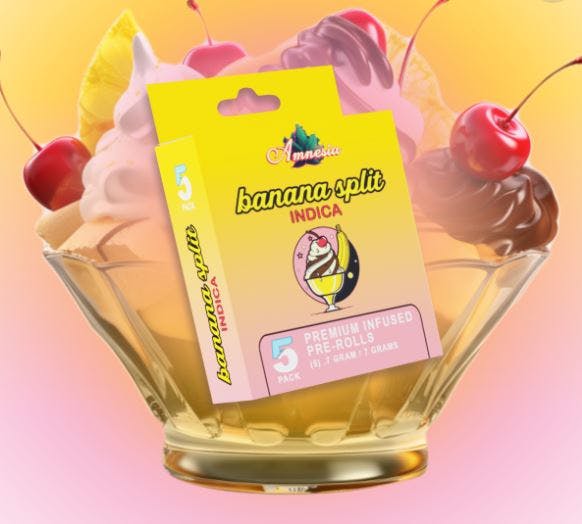 Photograph of product: Amnesia Banana Split 5pk X Pre Rolls