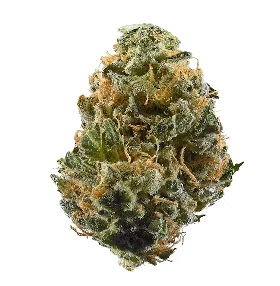 Photograph of product: Nature's Chemistry | Jungle Juice (S-D) - 3.5g