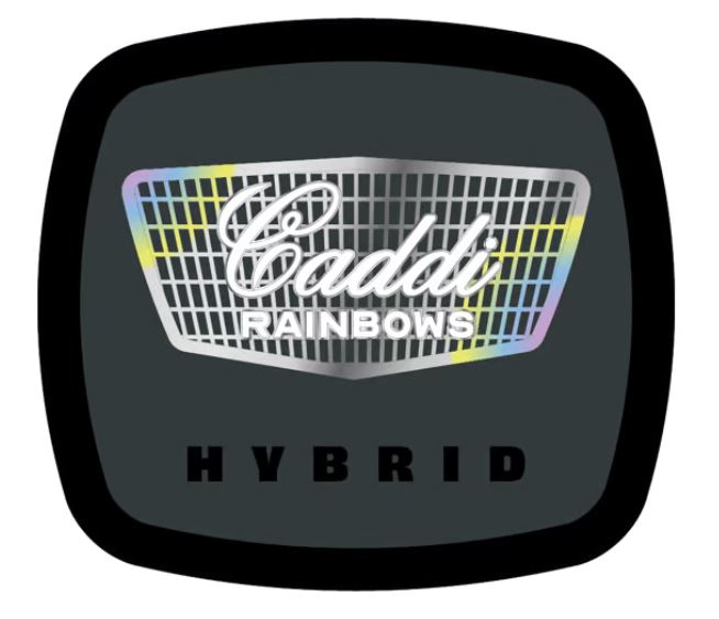 Photograph of product: 93 BOYZ CADDI RAINBOWS FLOWER 7G