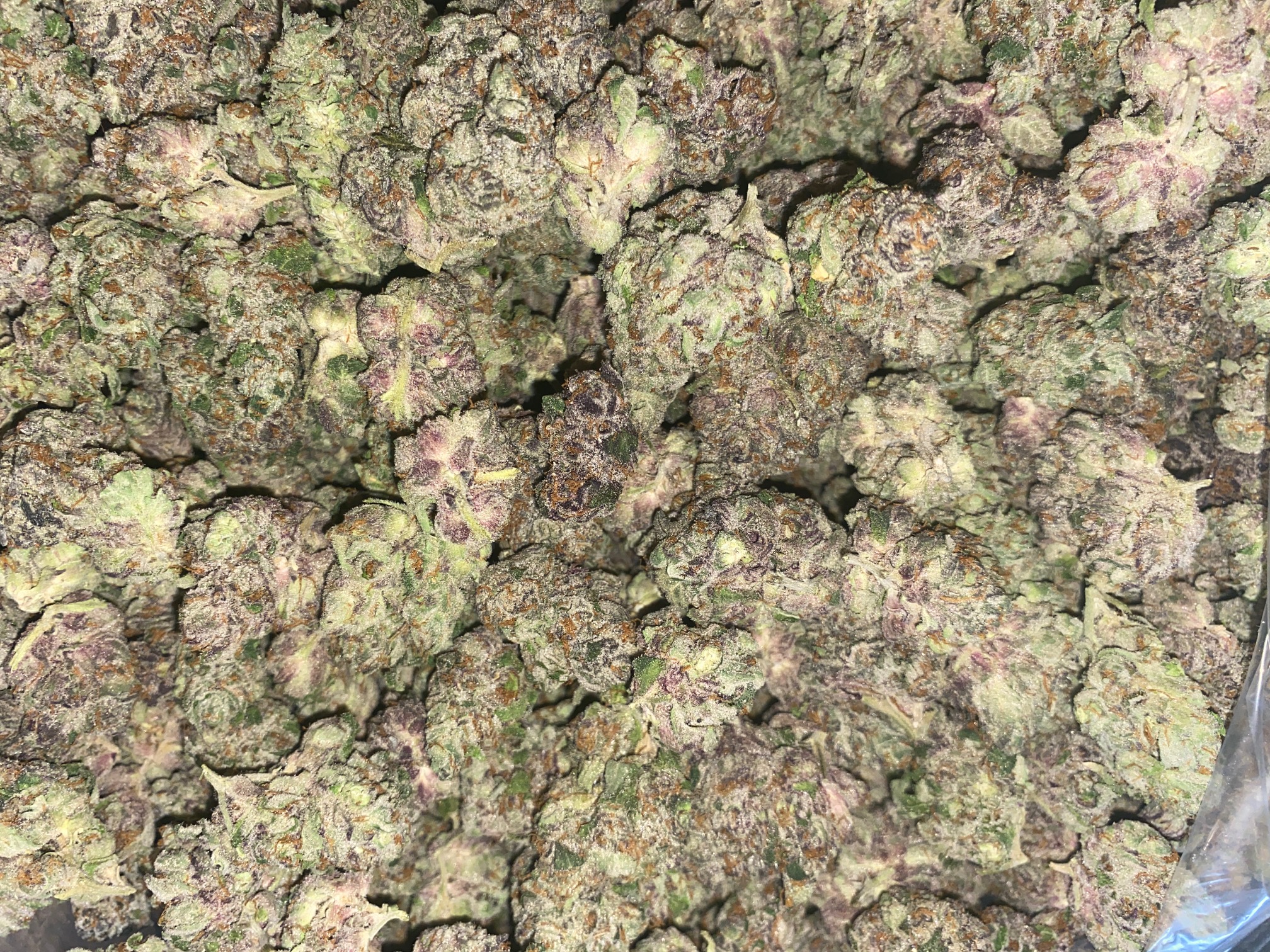 Photograph of product: Jamaican Dream | The Green Well - 28g
