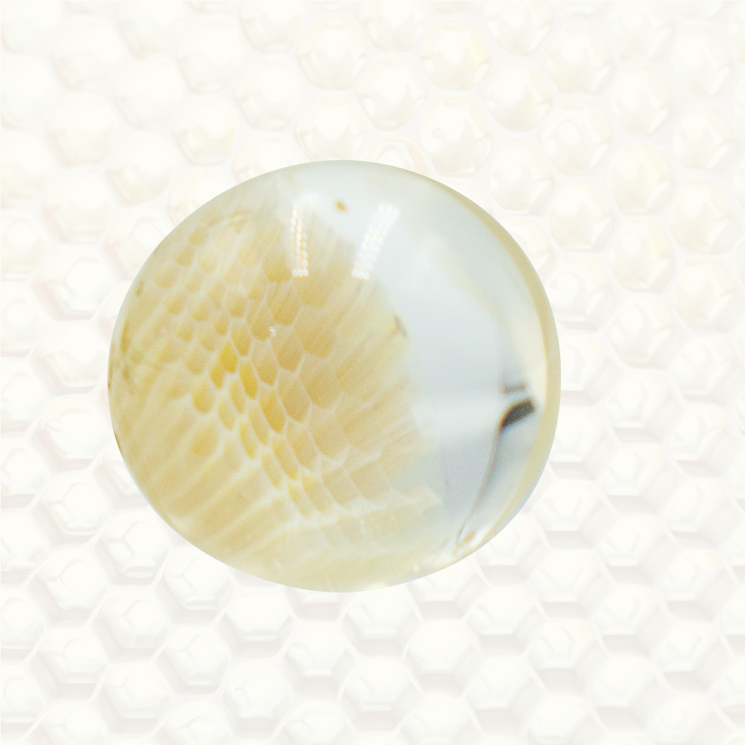 Photograph of product: Joe Peters Collection -  J Kelly Collab "Steal Your Honey" Terp Pearl