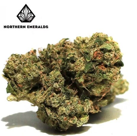 Photograph of product: Northern Emeralds - Durban Poison - 5g - 5g