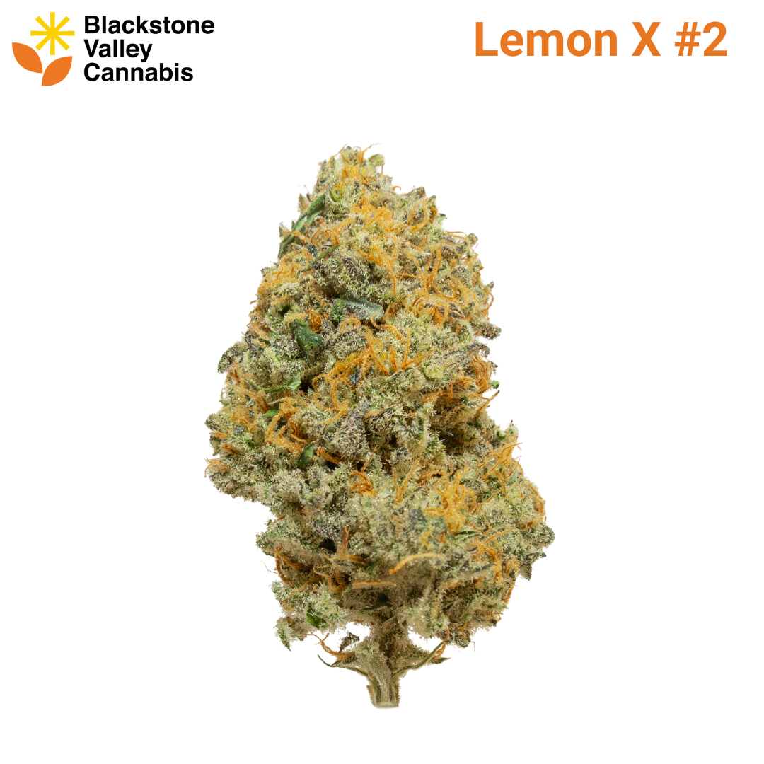 Photograph of product: Lemon X #2 | - 28g