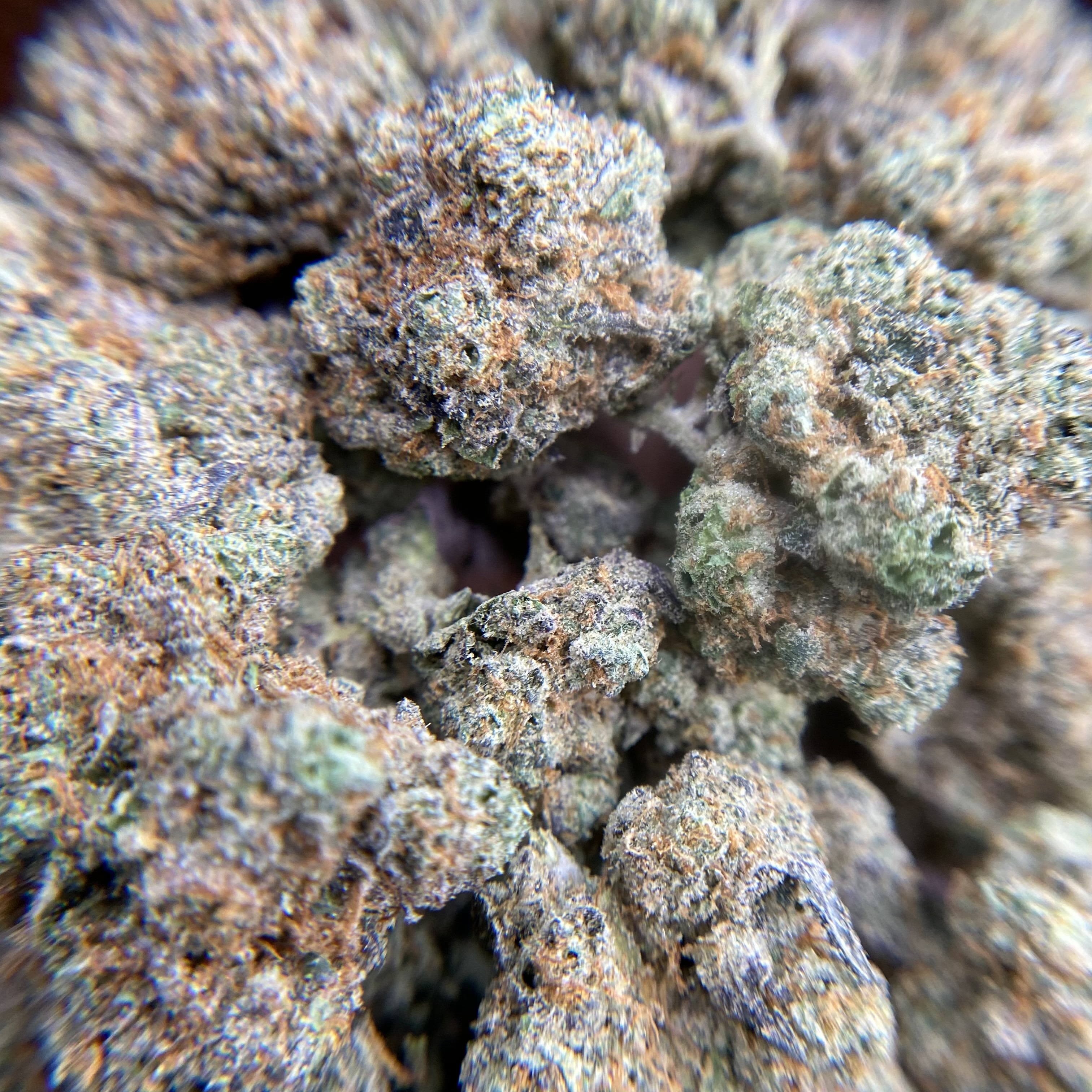 Photograph of product: Bloom County: Gary Payton Buds - 28g