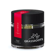 Photograph of product: Pina Grande | 3.5g Flower | Grassroots