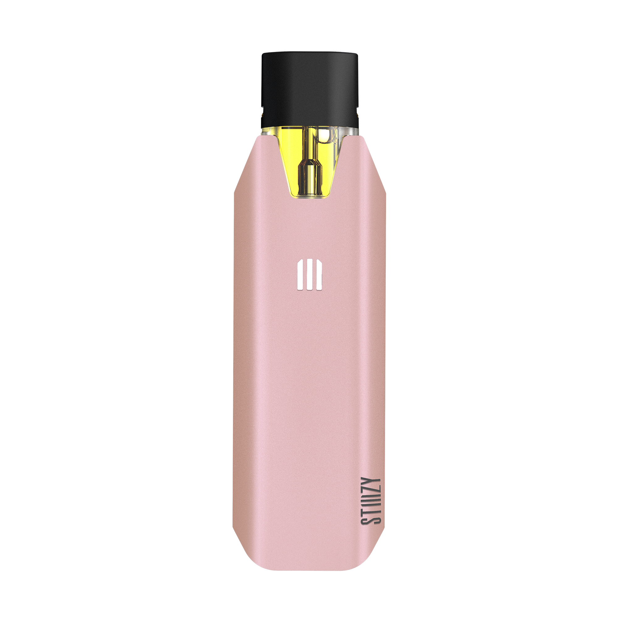 Photograph of product: BIIIG Battery (Rose)