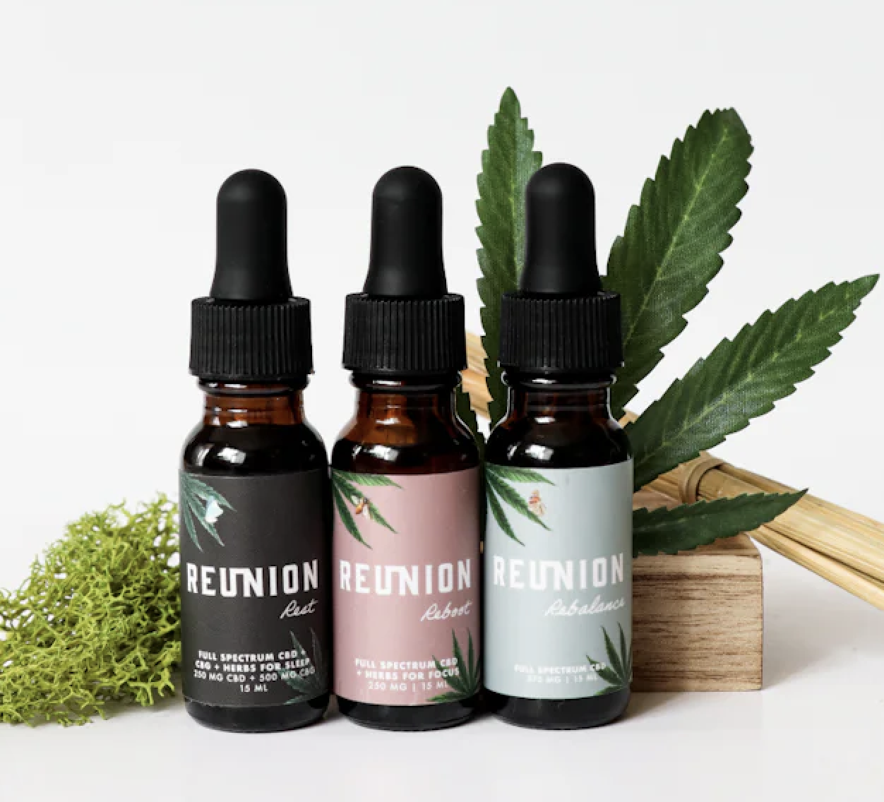 Photograph of product: Explore | CBD Tincture Kit