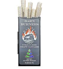 Photograph of product: Dry Ice 7pk