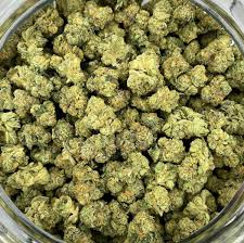 Photograph of product: Gold Shelf - Garlic Breath (H) - 28g