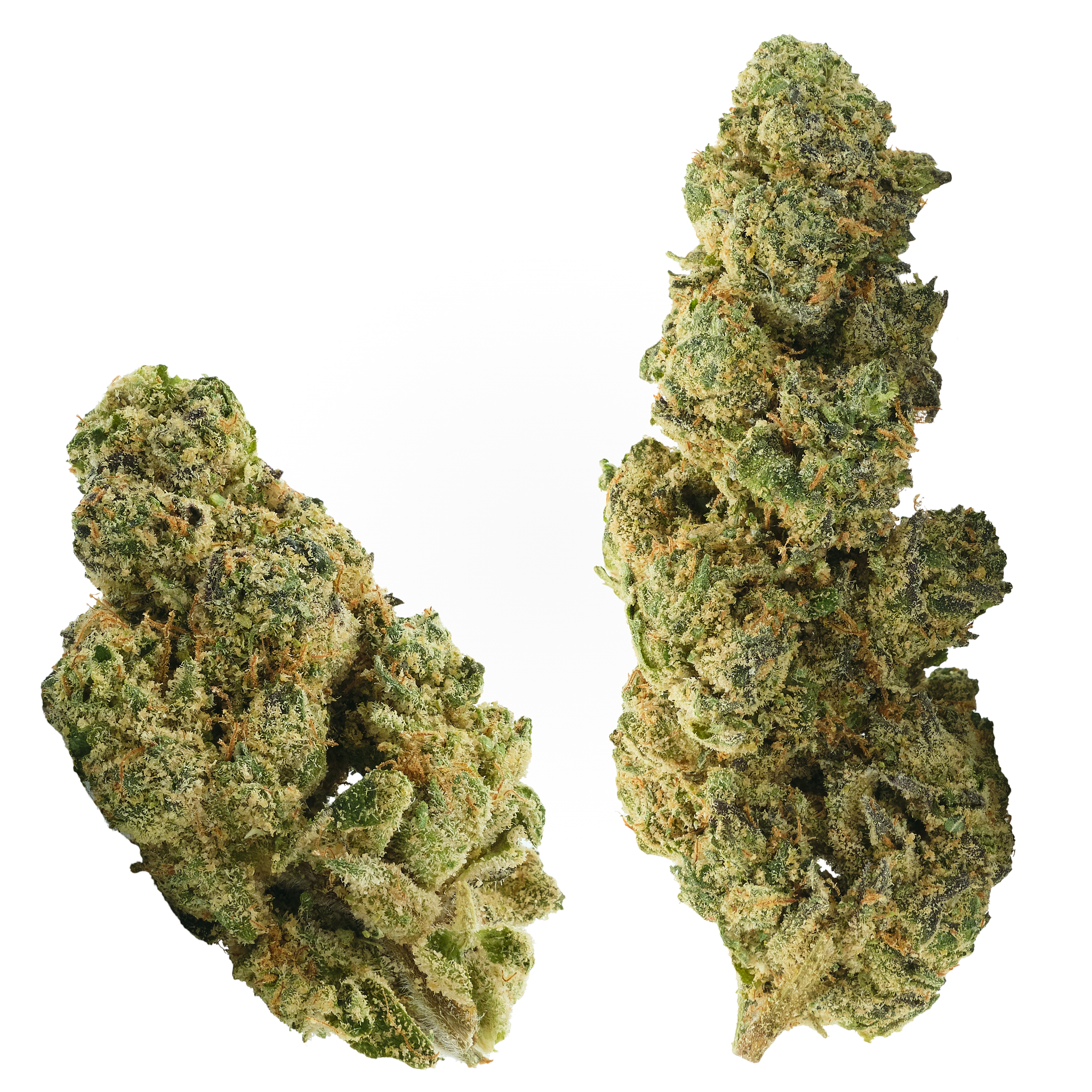 Photograph of product: Sherb Cream Pie - 3.5g