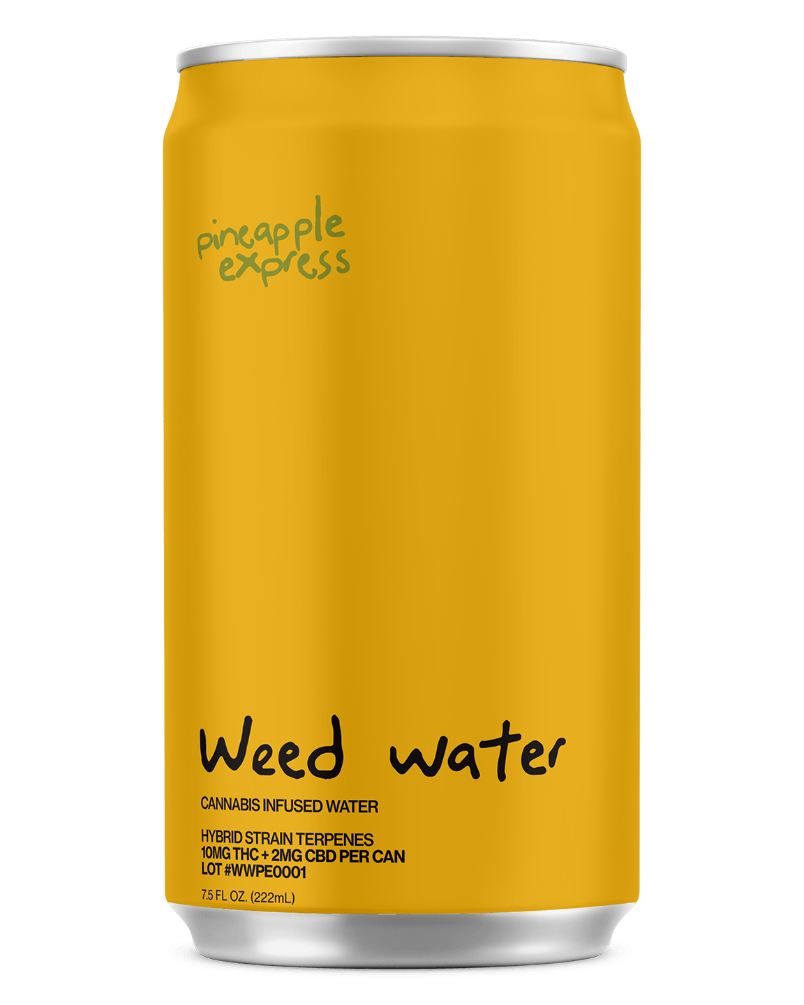 Photograph of product: Oui'd Water - Sparkling Berry Runtz - Single Can