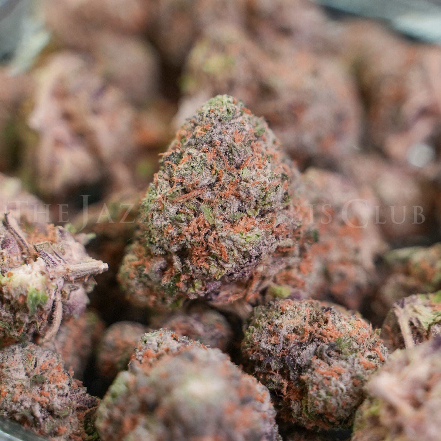Photograph of product: Project 4516 x Apple Tartz - Bulk Flower - 28g