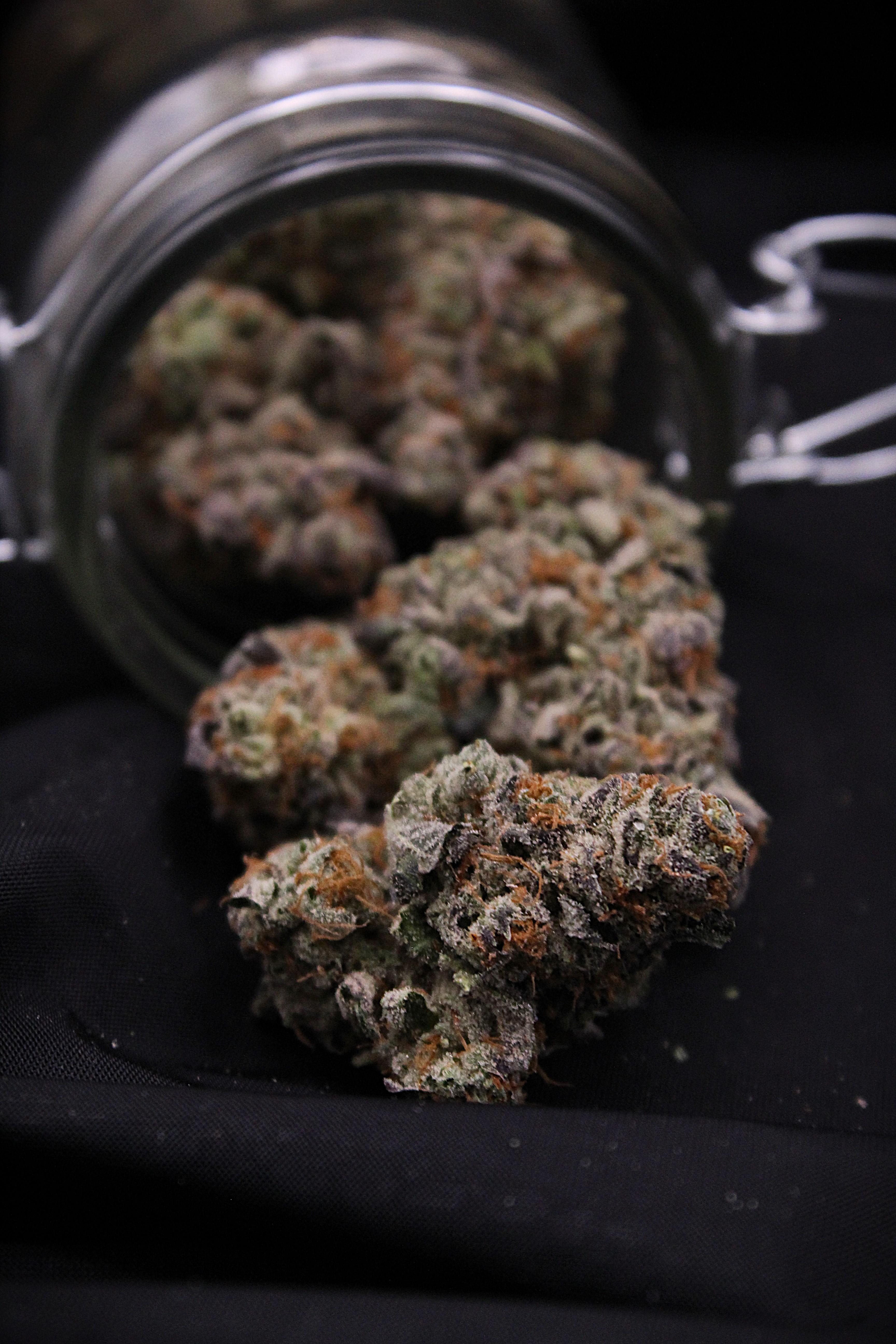 Photograph of product: Modified Obama - 28g