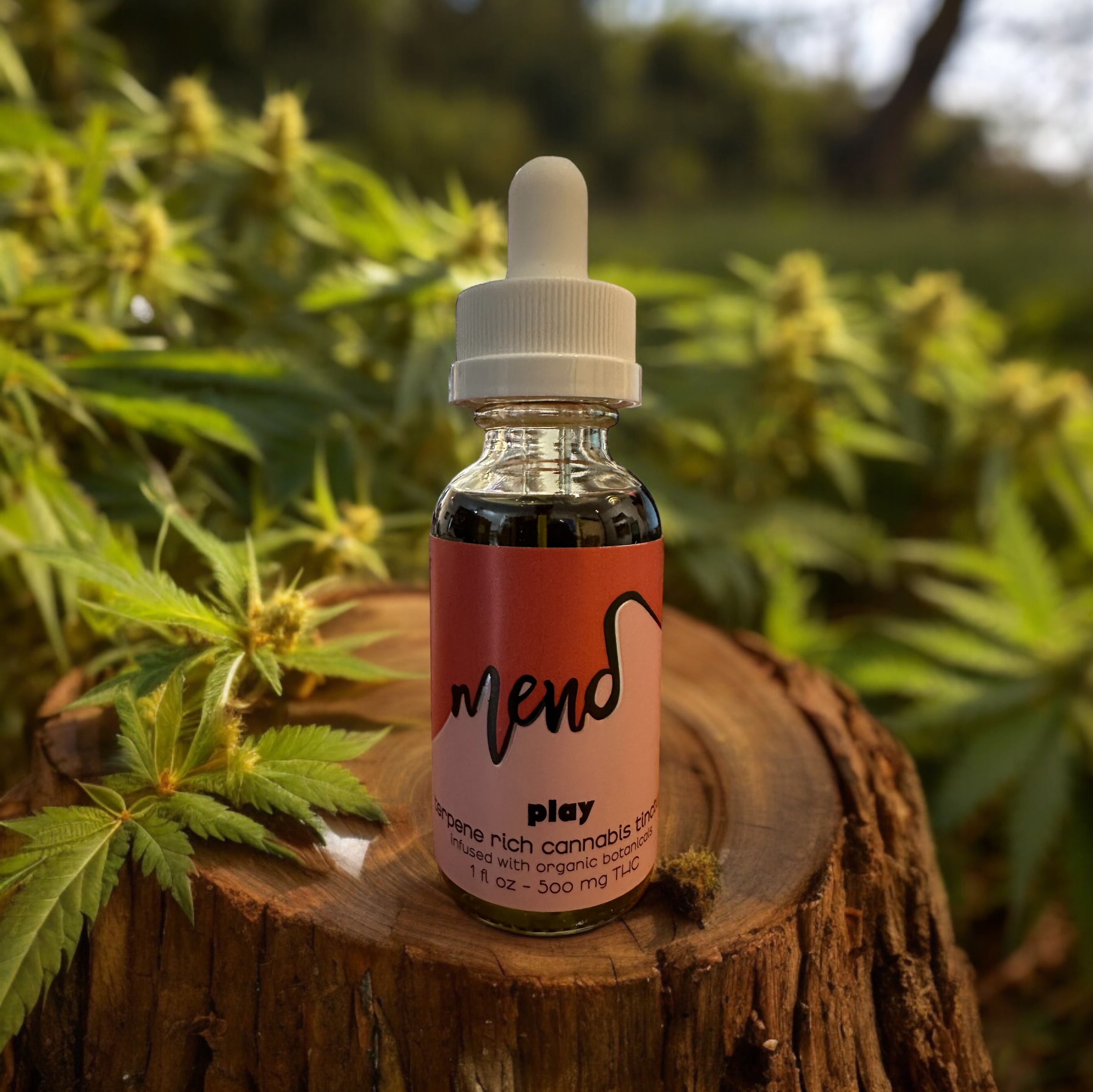 Photograph of product: Mend | Play | Tincture 500mg